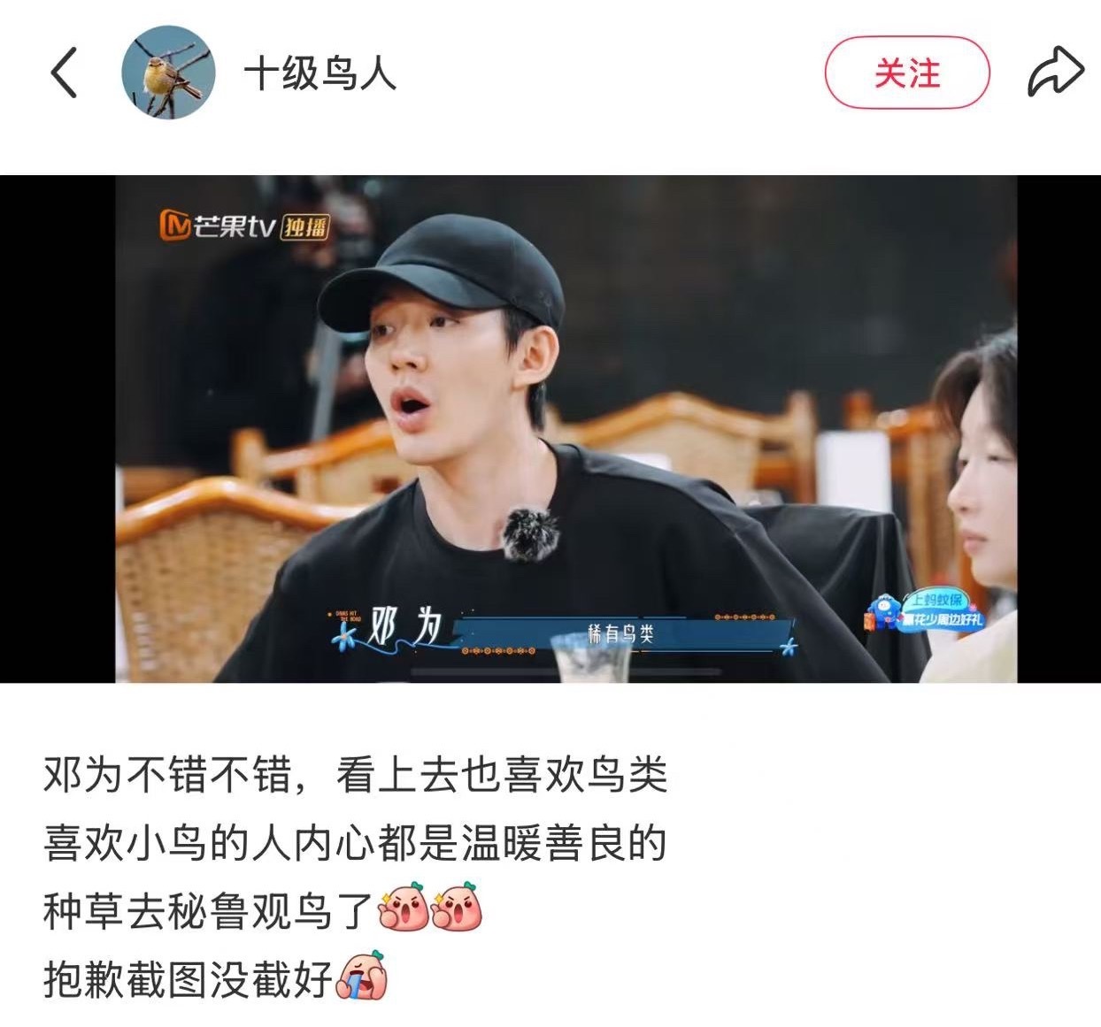 来自路人鸟学家的夸赞[哇] ​​​