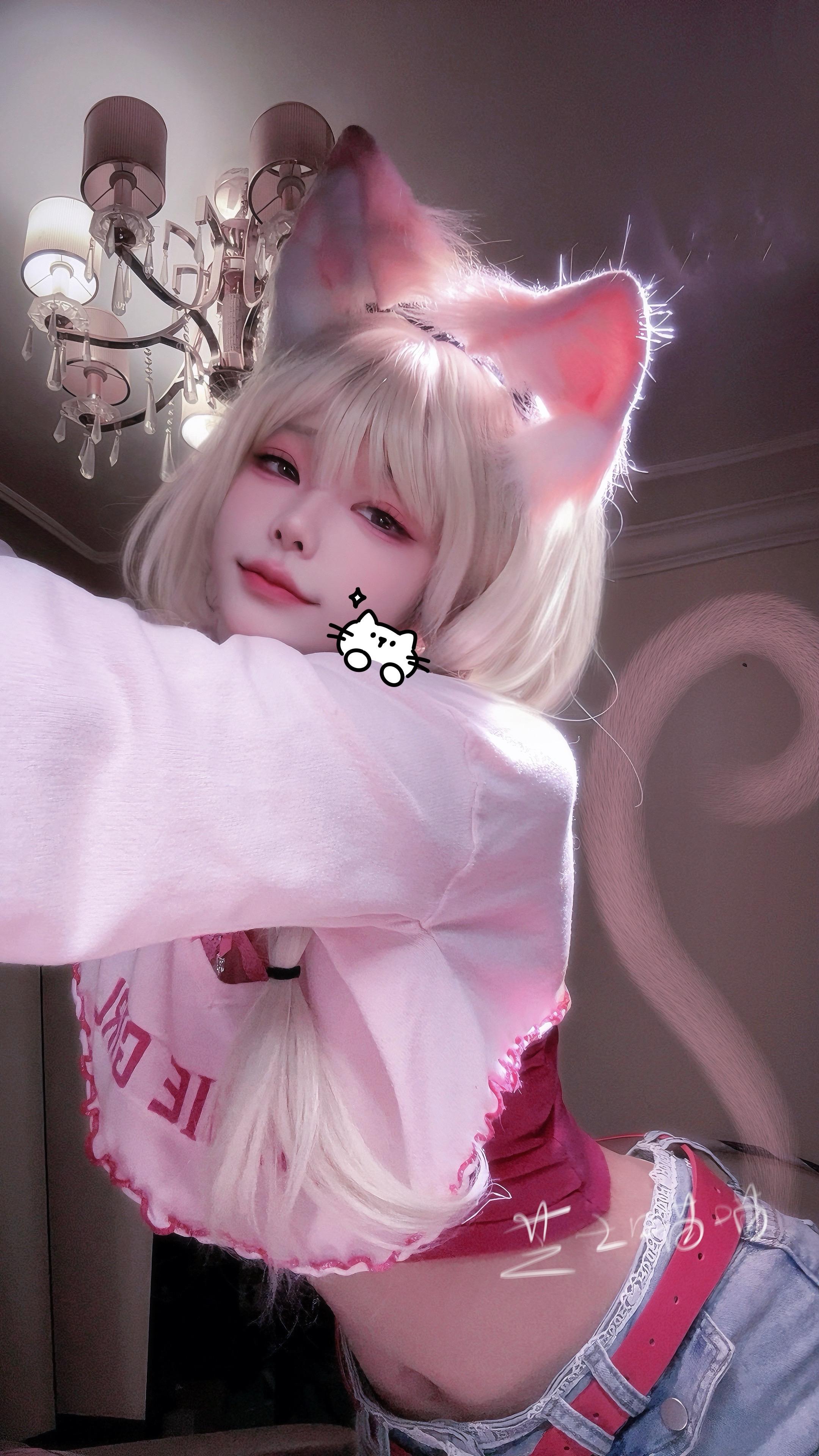 是小猫伸懒腰
