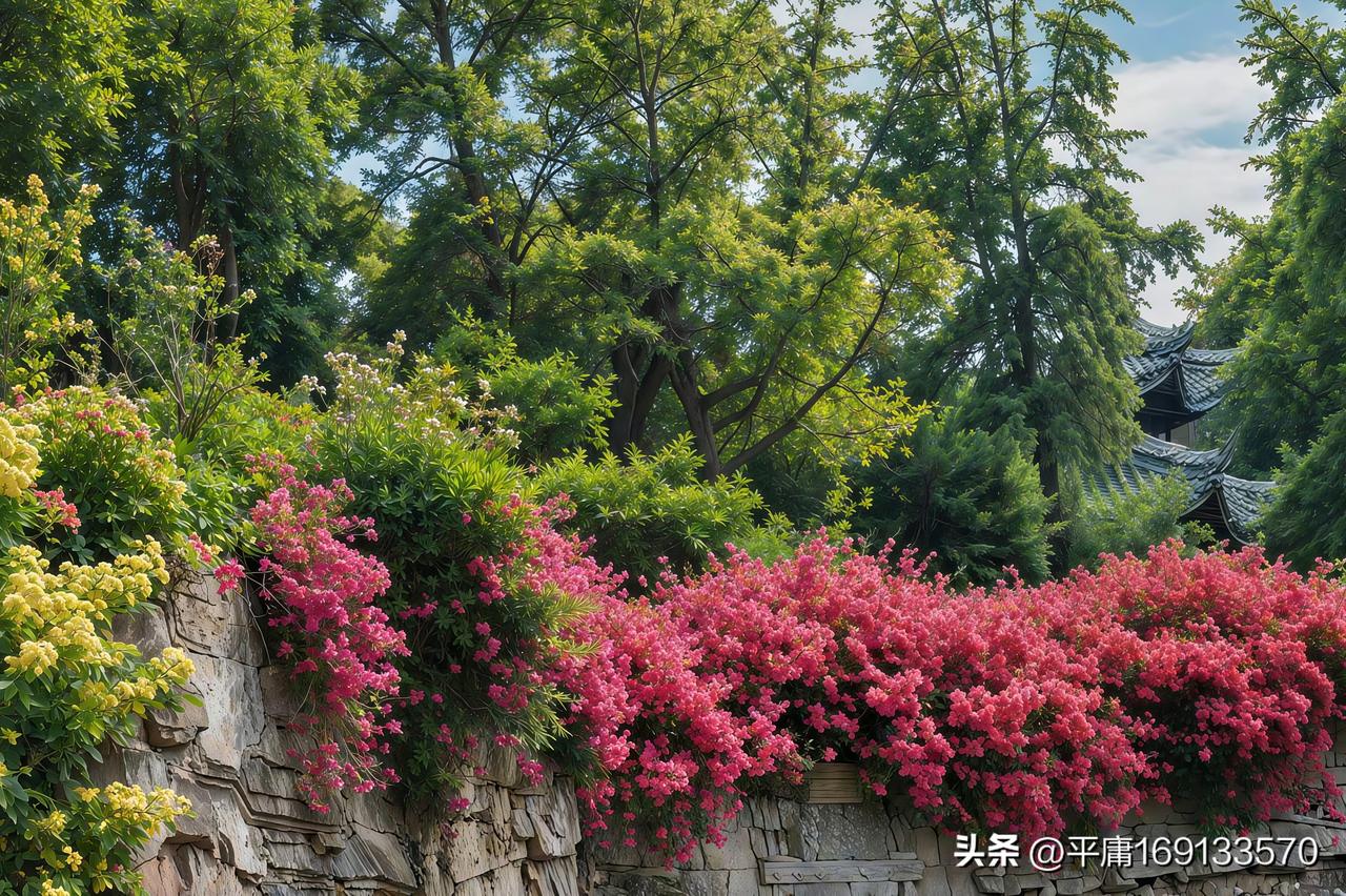 杭州余杭区五常街道郭家兜路的那道花墙，真如大家说的美如画！5 月 2 日“五一”