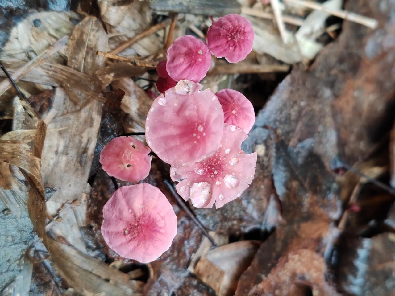 发现到了秋天，
面对一堆五颜六色的衣服，
选择困难症又复发了，
黑色风衣太长了，