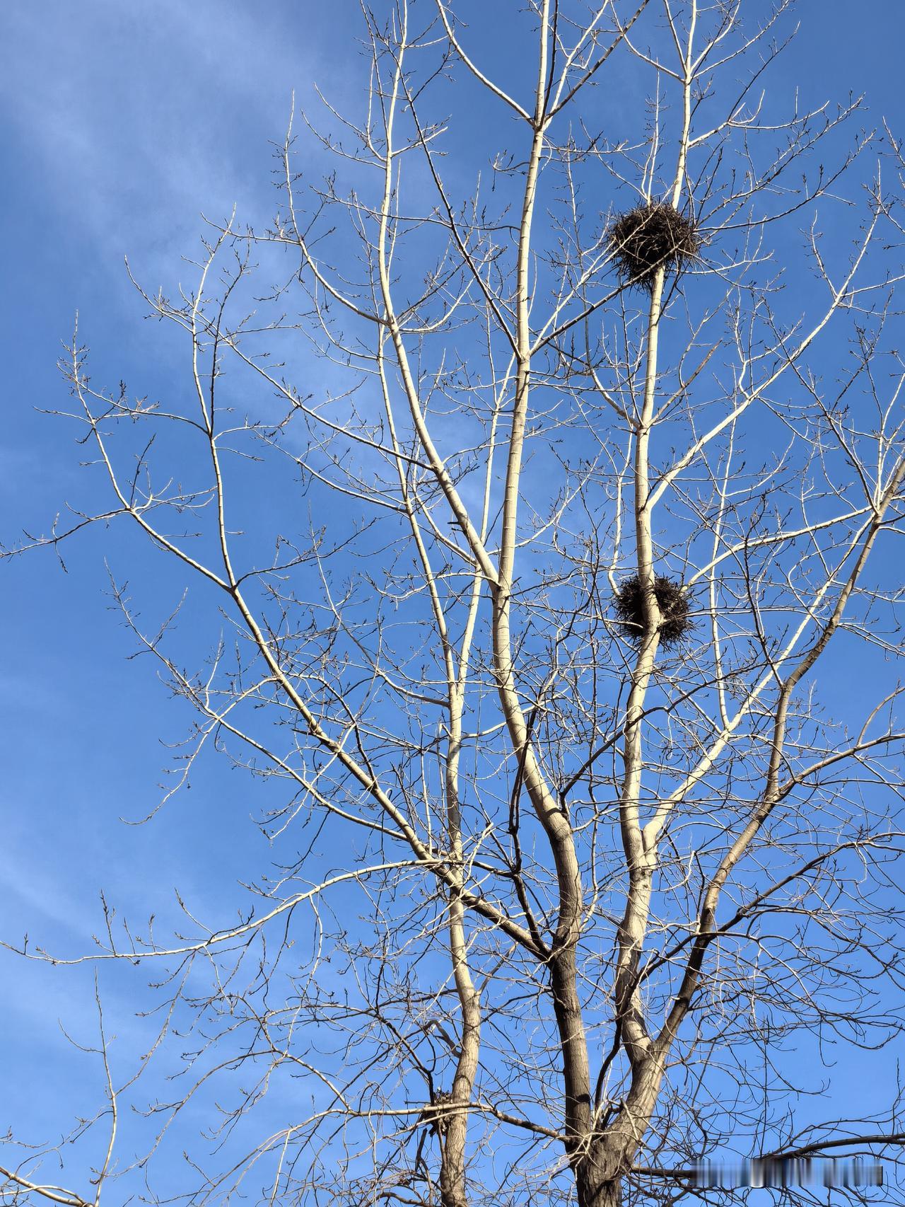 这话认同

“是人等车，不是车等人。”网友公布的爸妈这句经典老话，深表认同。
