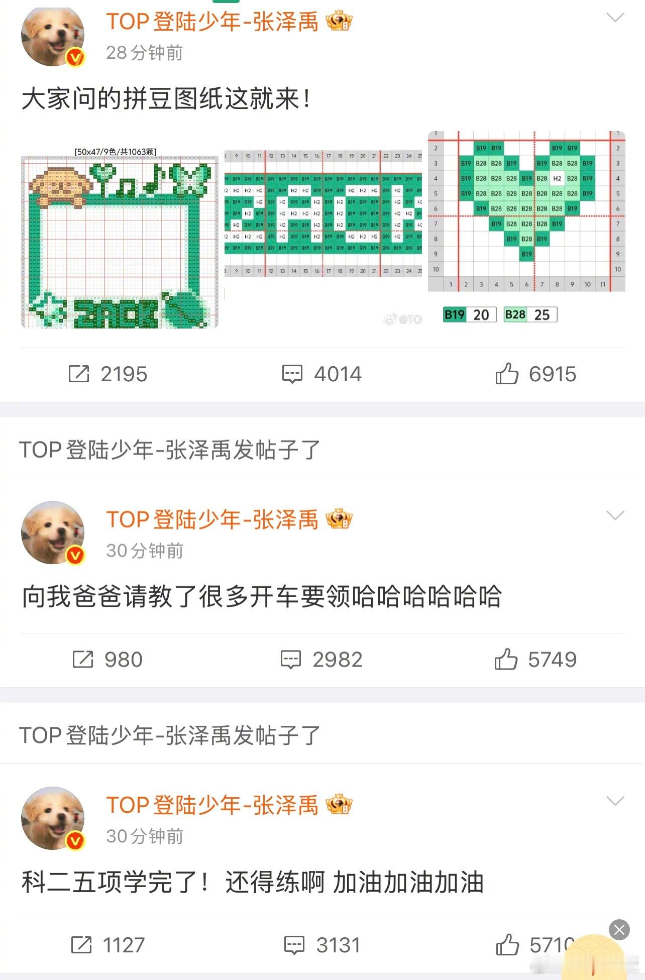 张泽禹想看给阿嬷的情书张泽禹把拼豆图纸发出来了 有求必应张泽禹！大家想要拼豆图纸