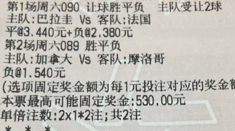 🌈鬼才奇思妙想7月4日足球想法：089 世界杯 加拿大vs摩洛哥090 世界杯