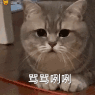 姚晨曹郁官宣离婚这种过气的网友已经不在乎他们结婚或离婚了，况且都是过多年前的事了