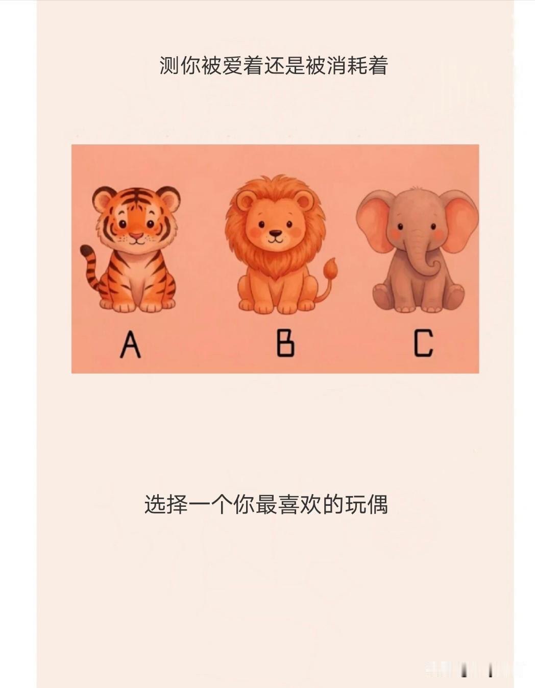 选择一个你最喜欢的玩偶