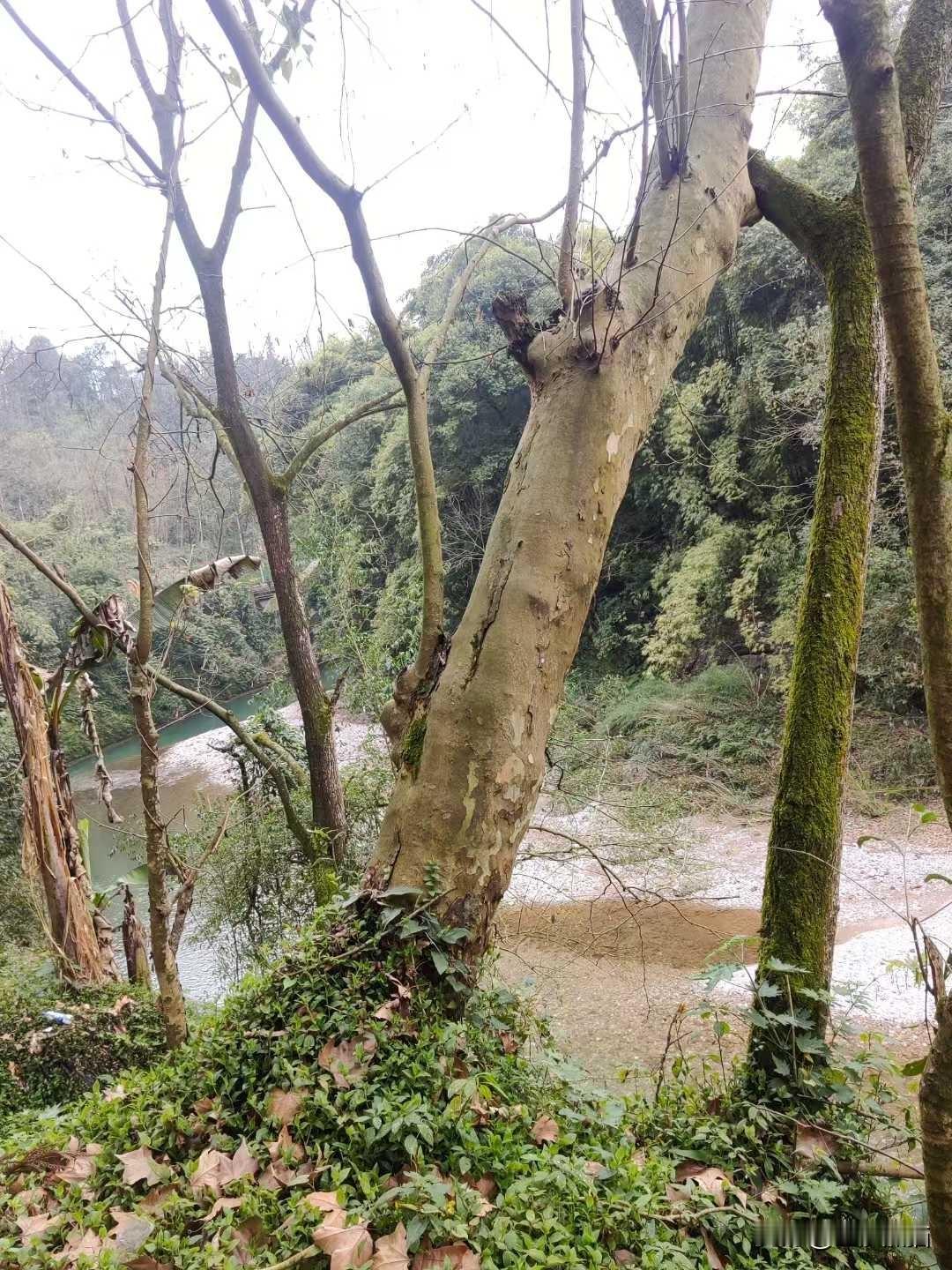 将军湖水库
眉山市采风
图文：东山闲人  杨西屏