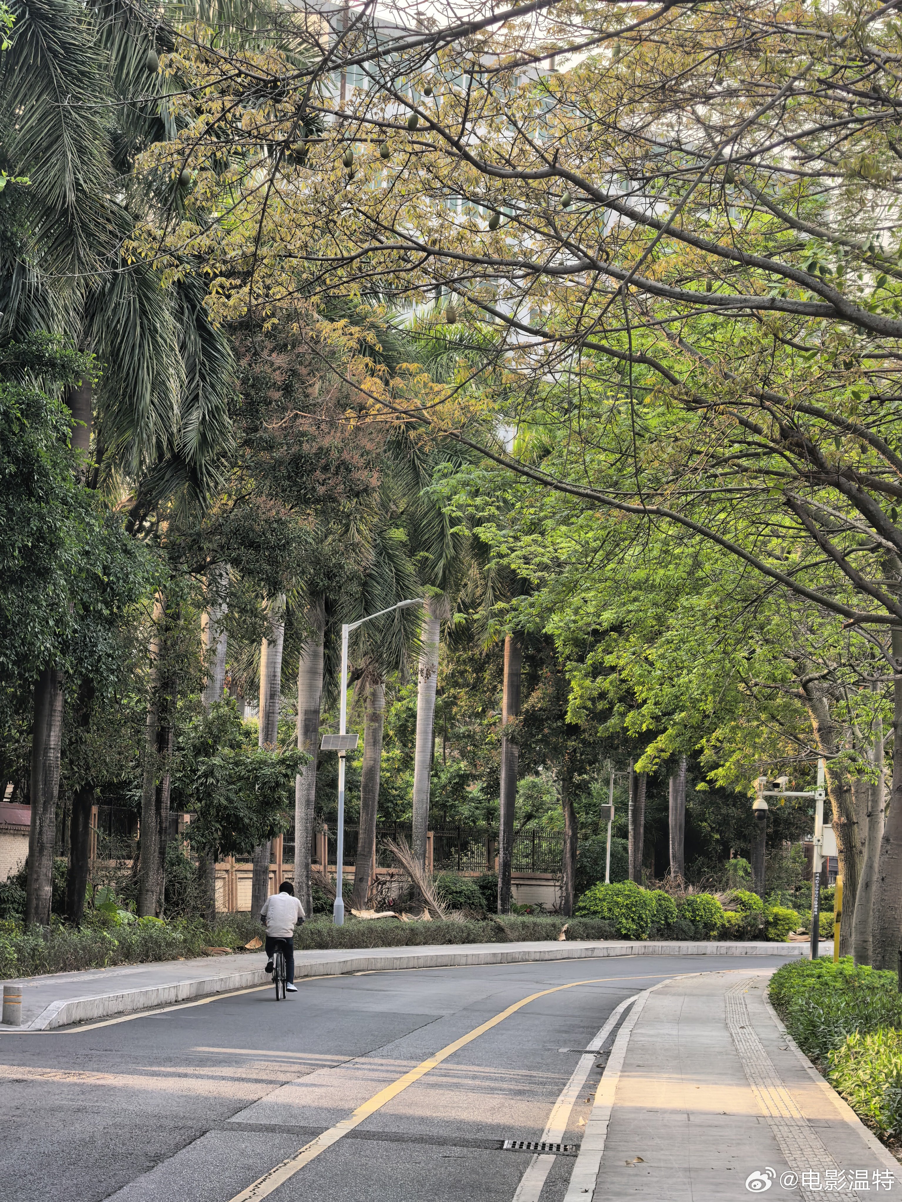 昨晚听听温特怎么说     直播间有位影院投资人大哥聊说他看了数据今年过完年关了