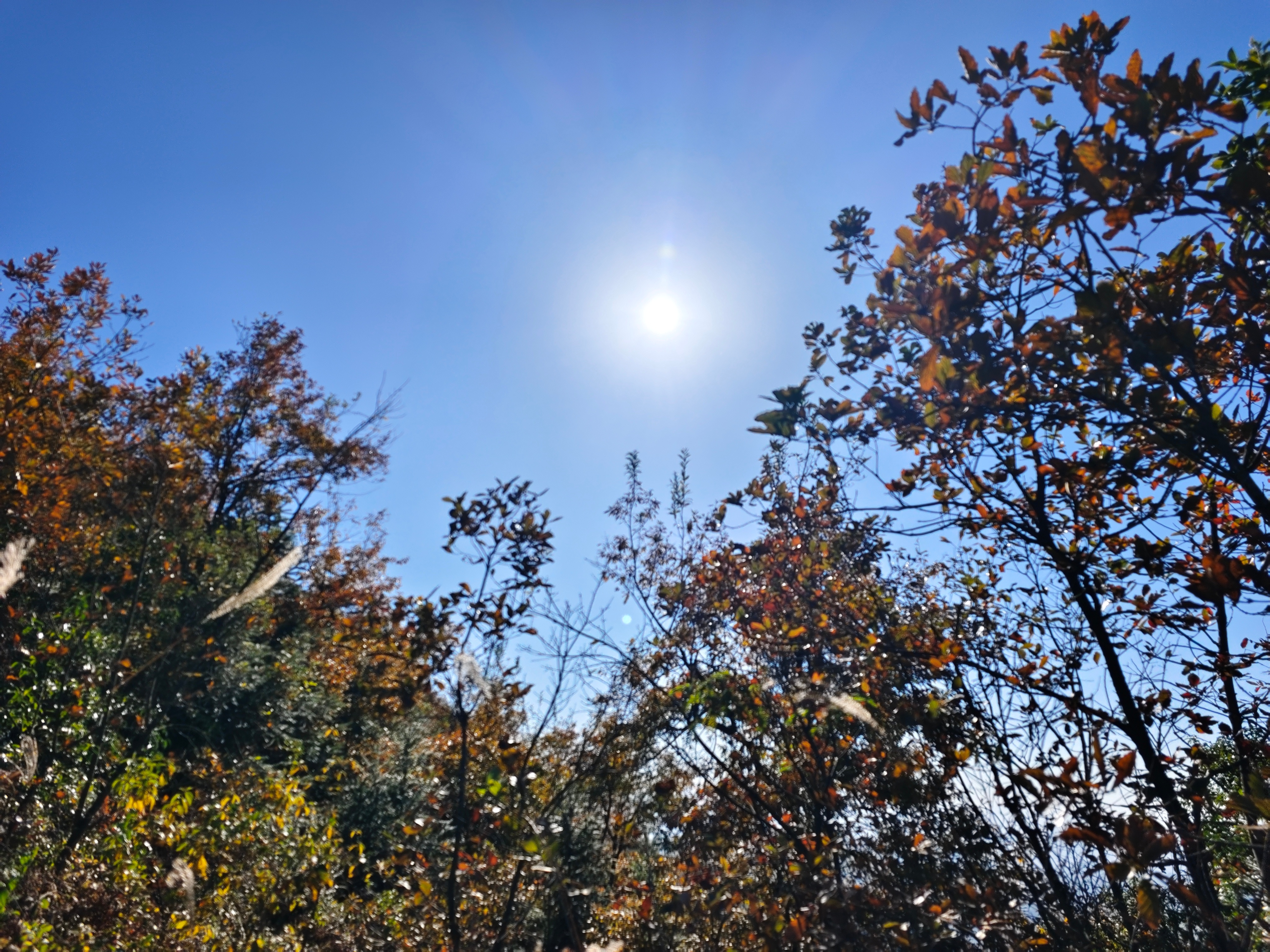 心态是最好的老师，有好心态才会有好出路！ 