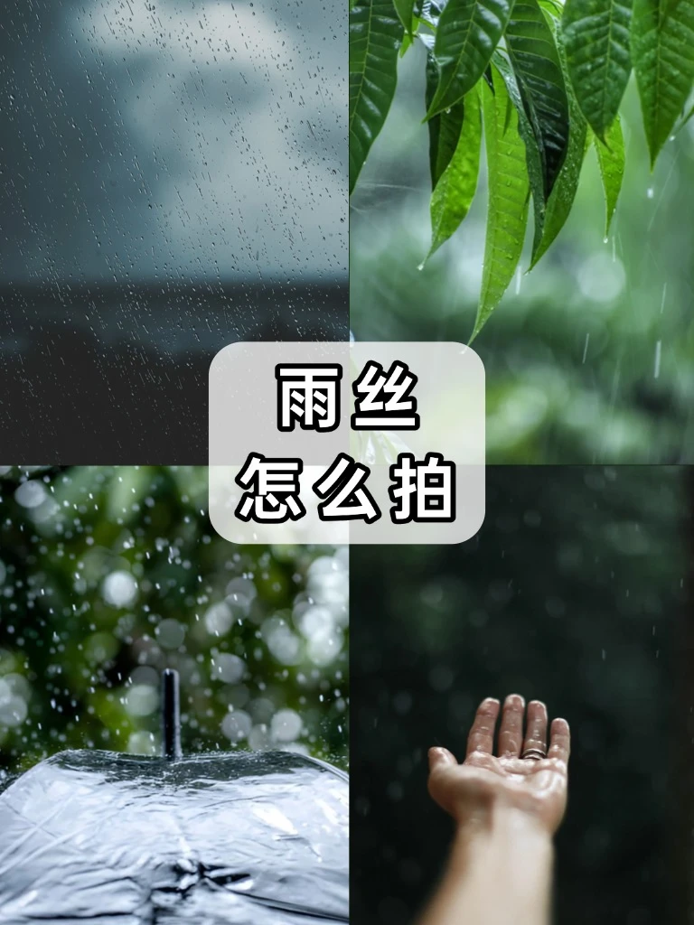 下雨天的各种形态怎么拍❓详细参数分享