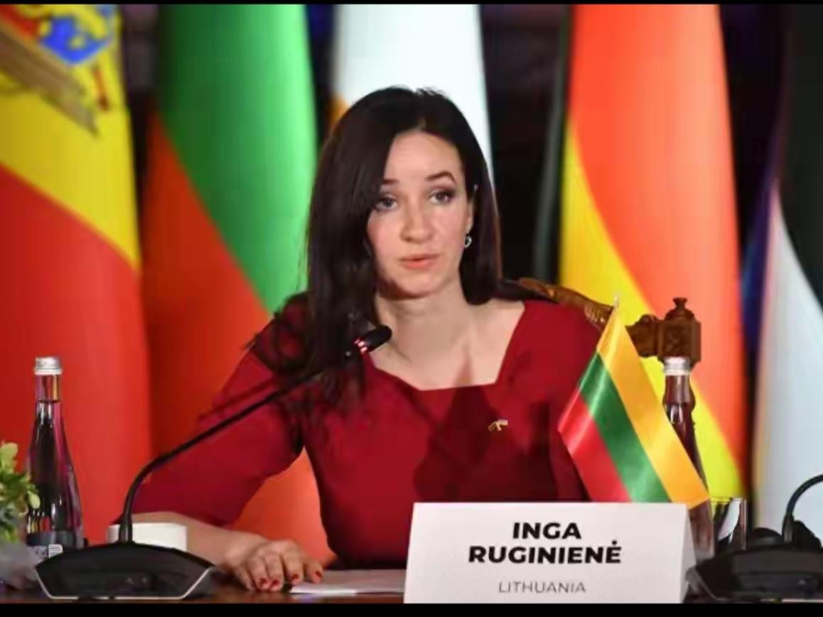 据媒体消息，立陶宛新总理英加·鲁吉涅内承认允许民进党当局在立陶宛设立所谓“代表处