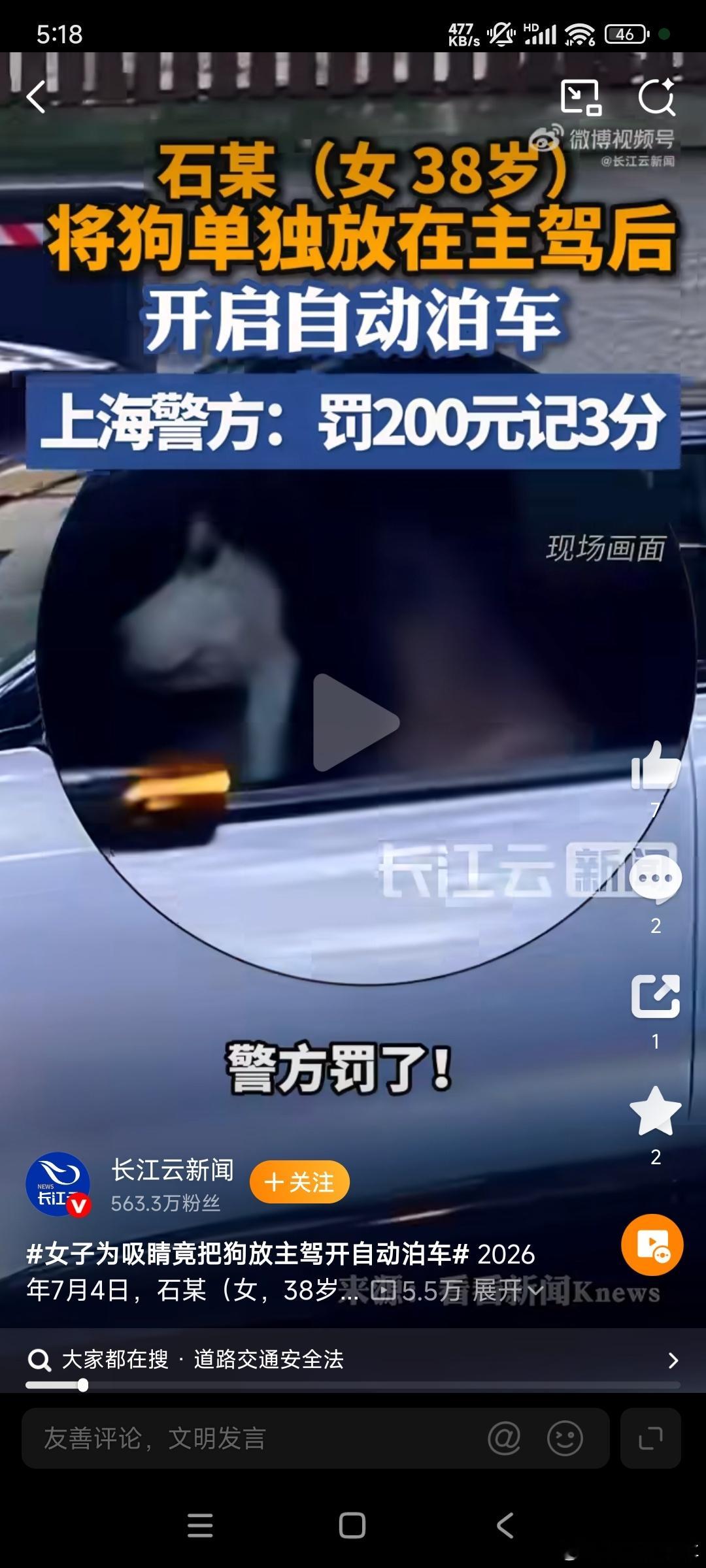 女子为吸睛竟把狗放主驾开自动泊车这种博眼球也太危害交通驾驶了 