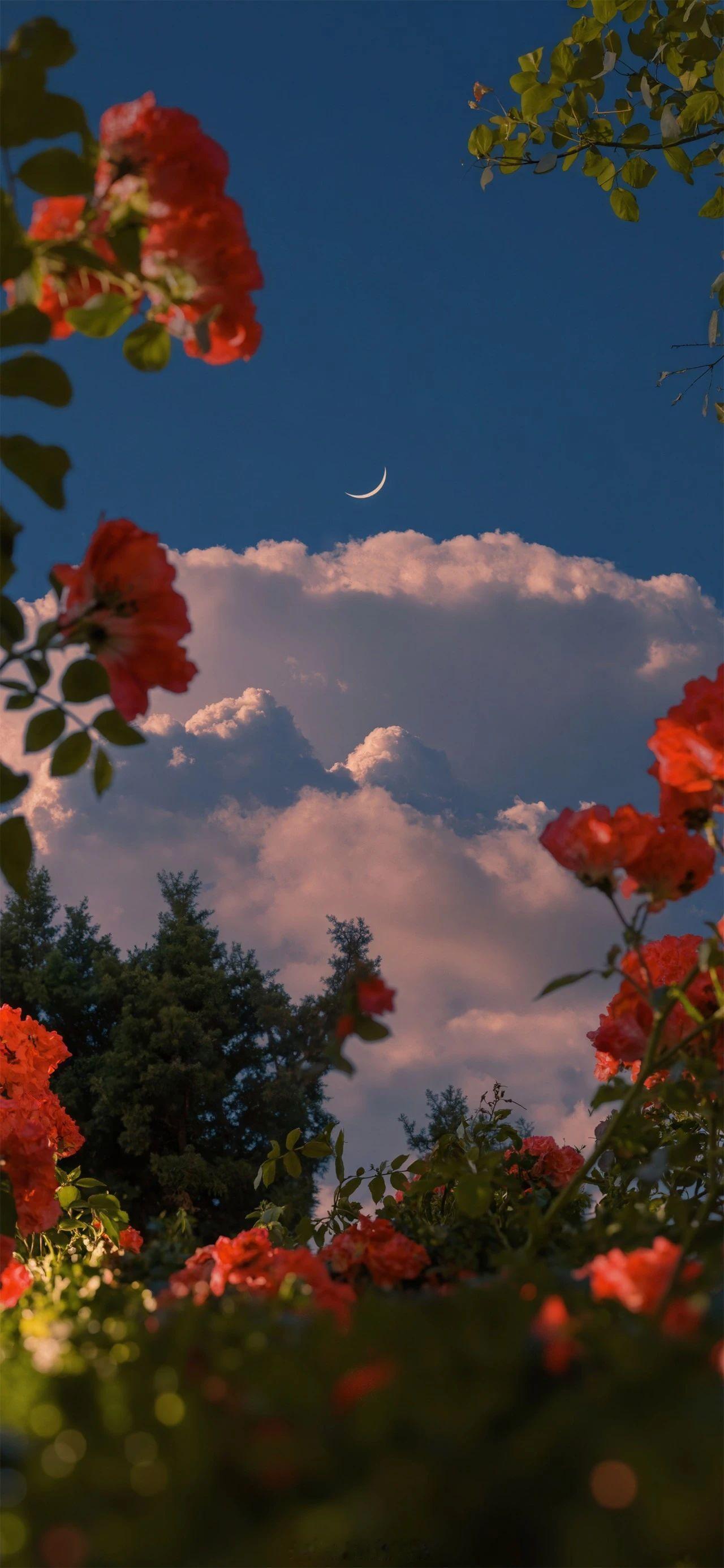 我的人生总在寒冬，可他却是夏天，是我一生中只看过一次的夏天。—— 孟栀晚《潮汐看