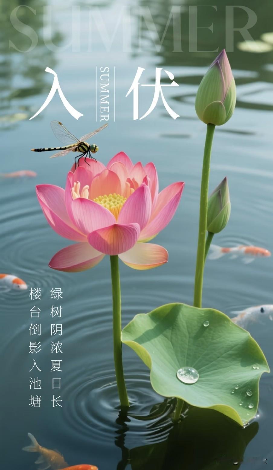 7月15日入伏，不出意外的话今年三伏将出现这5种现象，与往年不同
 
2026年