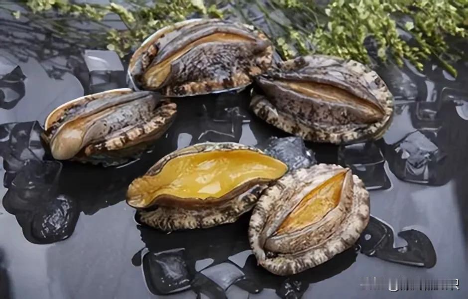 吃鲍鱼与饺子小知识:
1，饺子鲍鱼都得下午吃才有味道，最好是在办公室，书房，等工