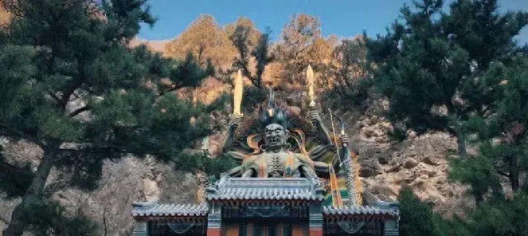 2026年3月31日，农历二月十三，华北农村麦田边，地表白霜初现裂纹，这晴朗天气