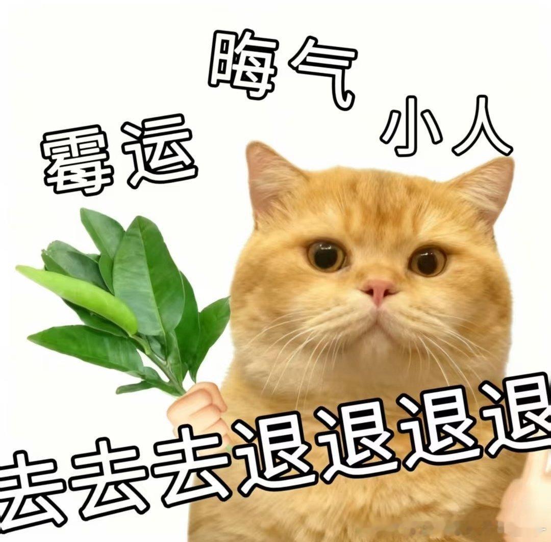 怎么又来一个本来已经够烦的了 