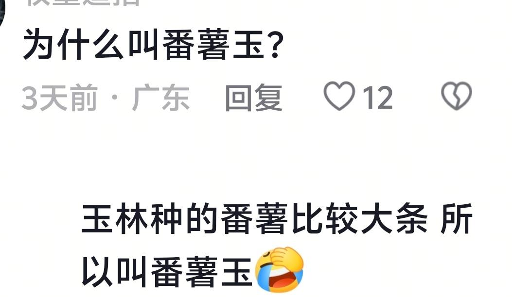 粤西够热闹了！
阳江市代名词被人称呼为“刀🔪子阳”，因为阳江是世界刀业王国，世