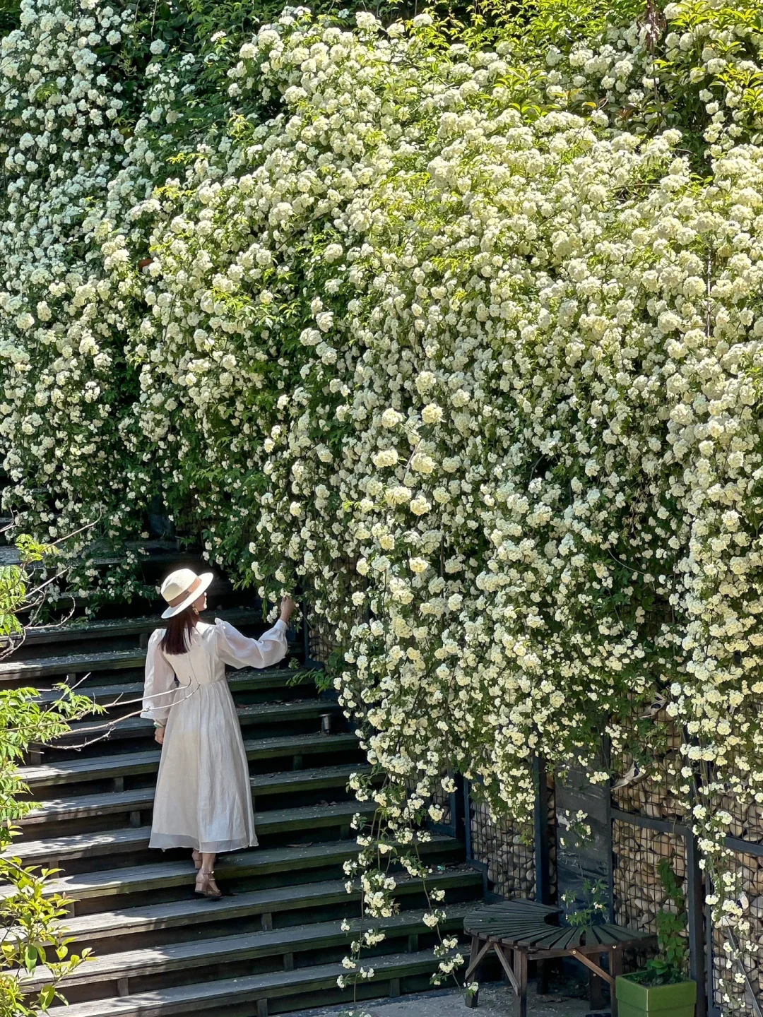 接下来的青岛…是一万次春和景明！！！💐