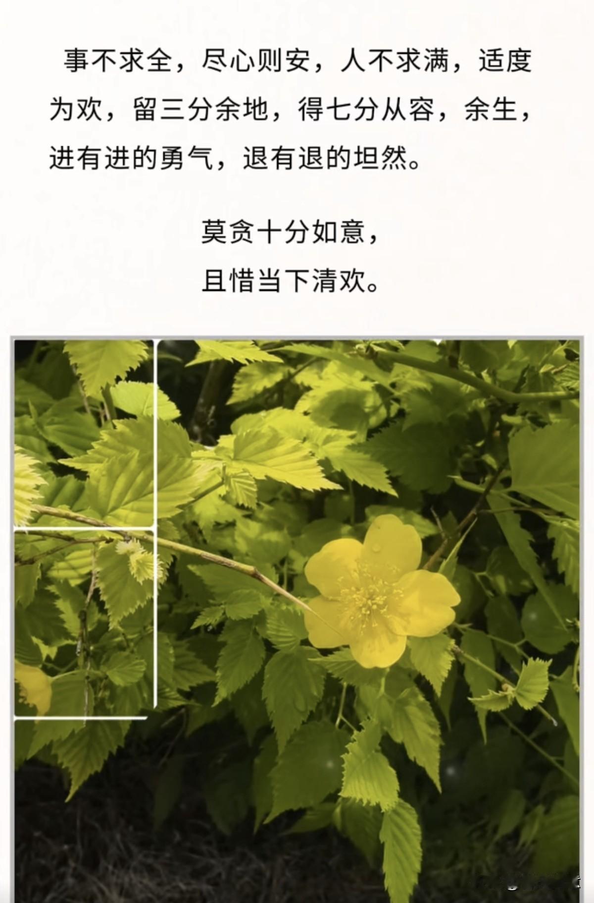 写给自己，读懂这些让你的人生无憾，，，，，，