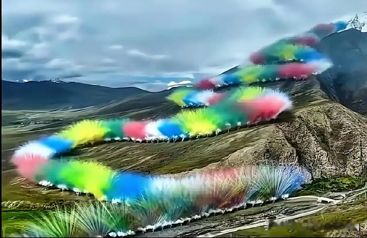 喜马拉雅升龙烟花秀结束第3天，爆炸现场留下很多垃圾，当地村民上百人上山捡垃圾，在