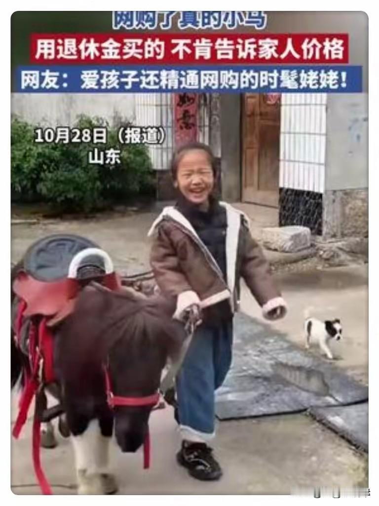 这姥姥太大气！老太太学会了网购，竟然用自己的退休金给外孙女网购了一匹活的小矮马！