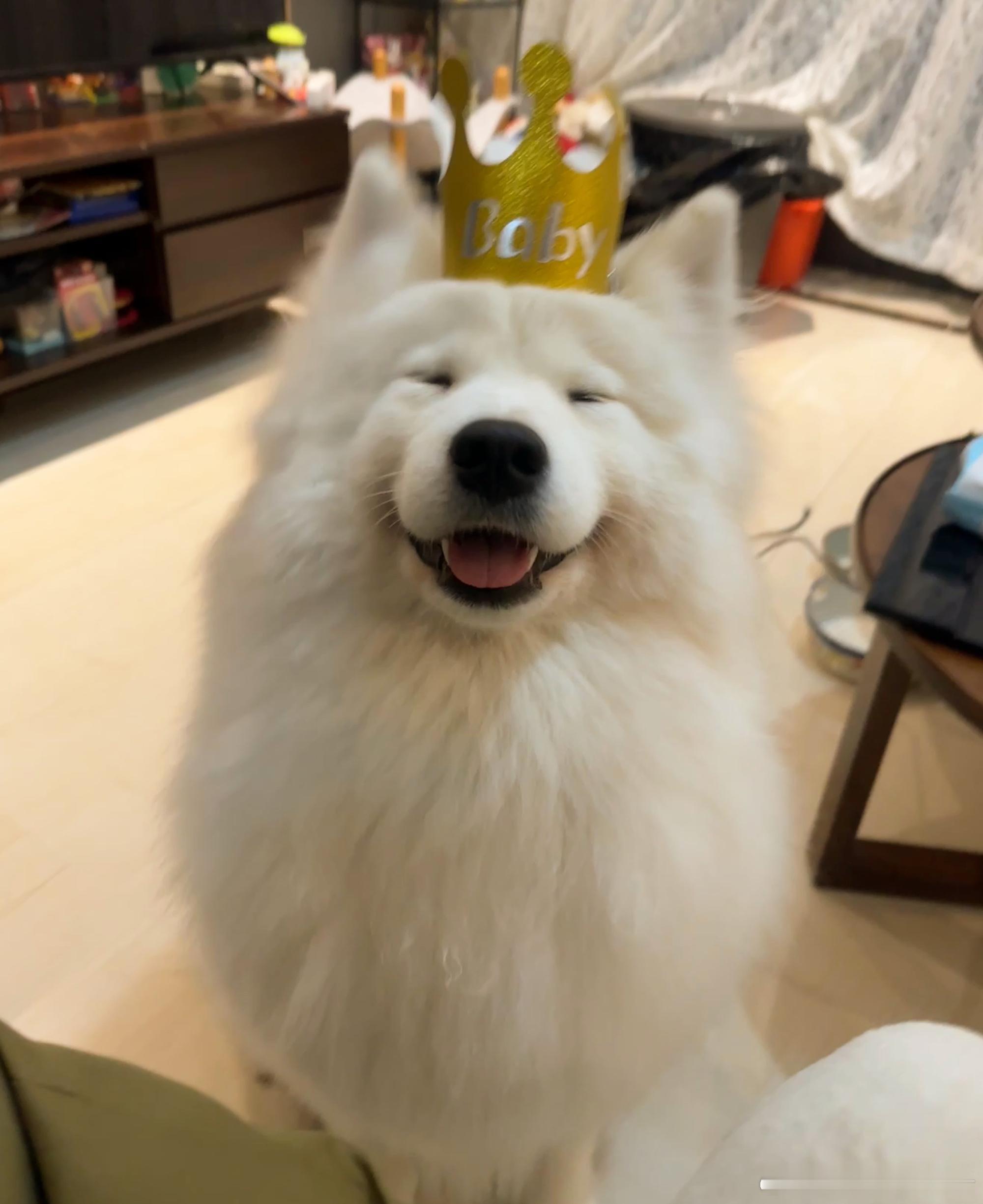 第五人格[超话] 我有没有告诉你们我玩贪吃蛇特别牛  100%蛇王呀 