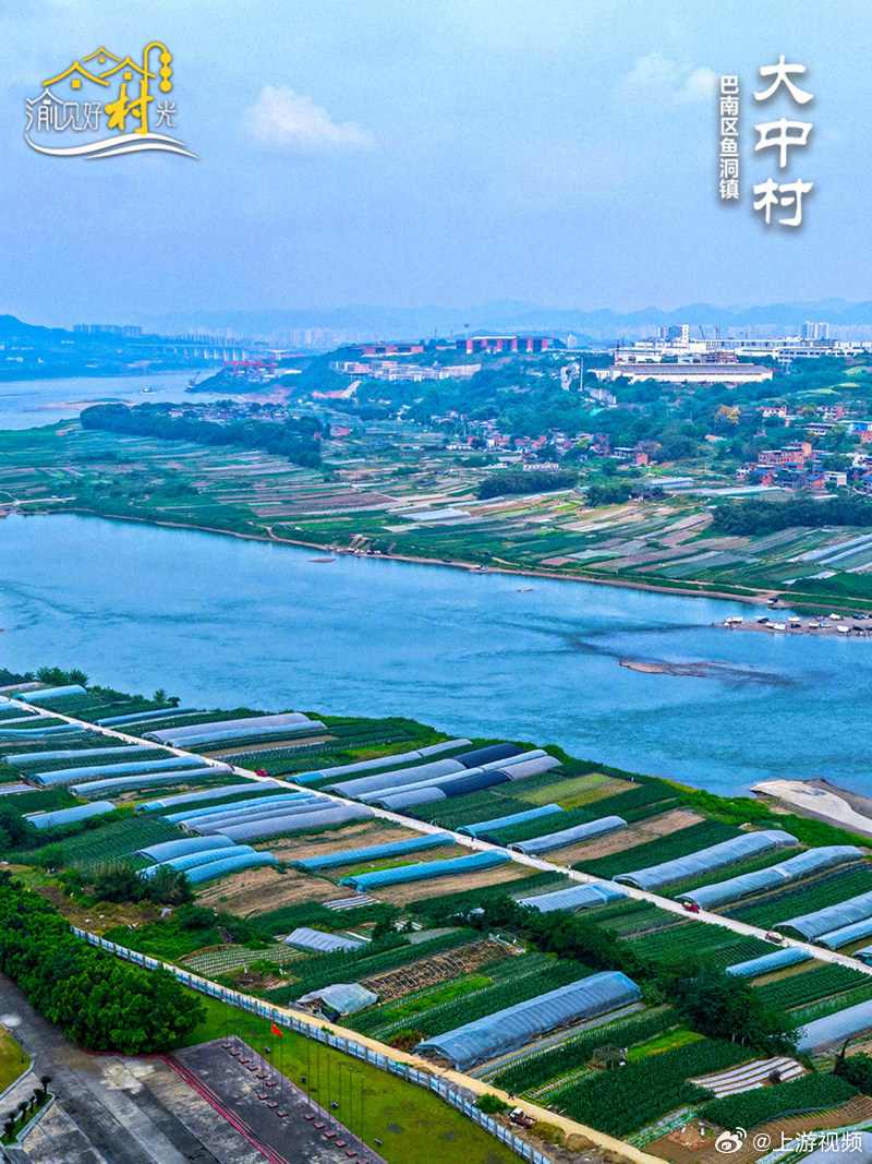 #渝见好村光#【渝见好“村”光 | 巴南大中村：长江江心的“蔬菜岛”】#重庆大中