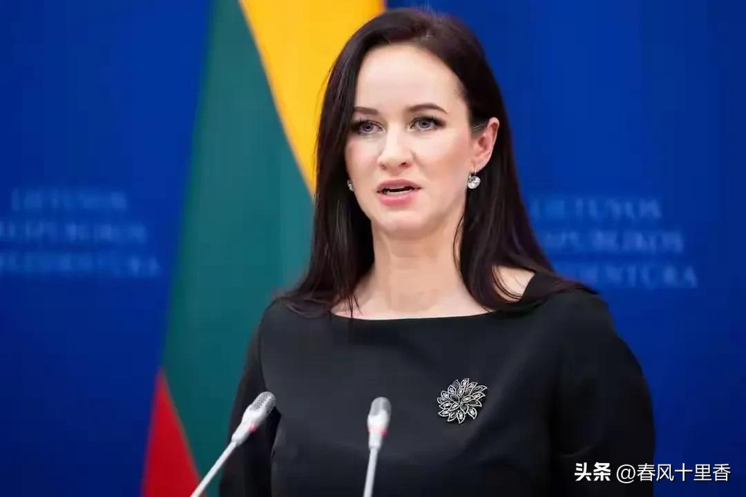 立陶宛这波操作真是让人惊掉下巴。当地时间3月3日消息，立陶宛总统顾问称若美国请求