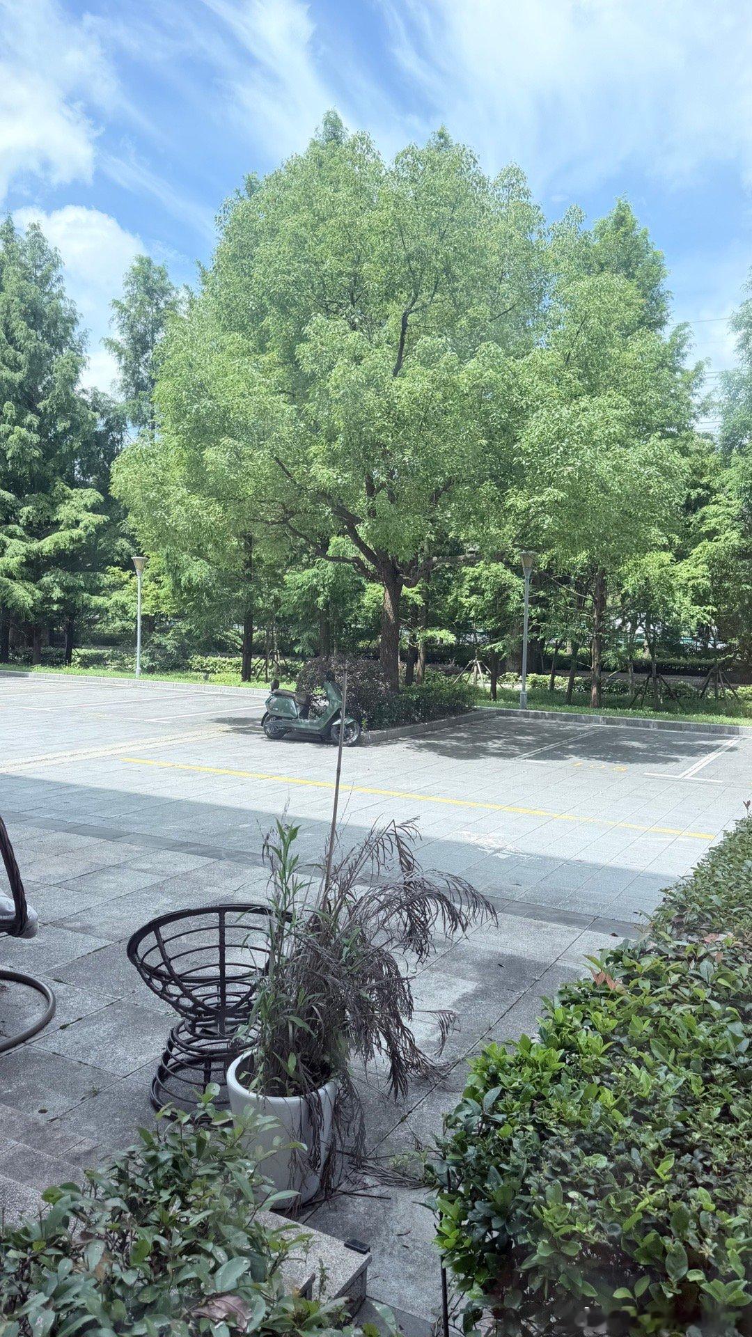 明天不会狂风暴雨了吧。 