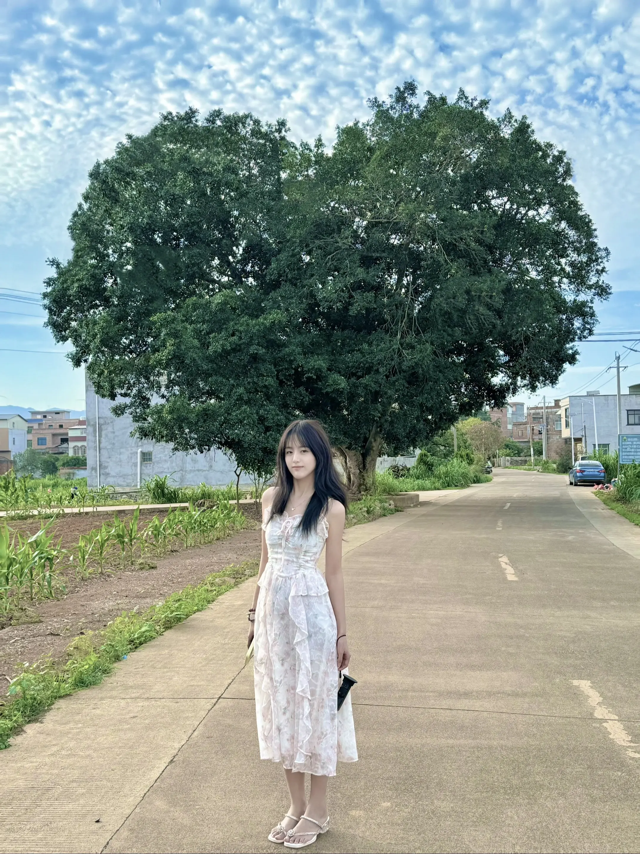 我们贵港也有超级大的爱心树了，浑然天成长成这样的，跟着我们受委屈了🥺...