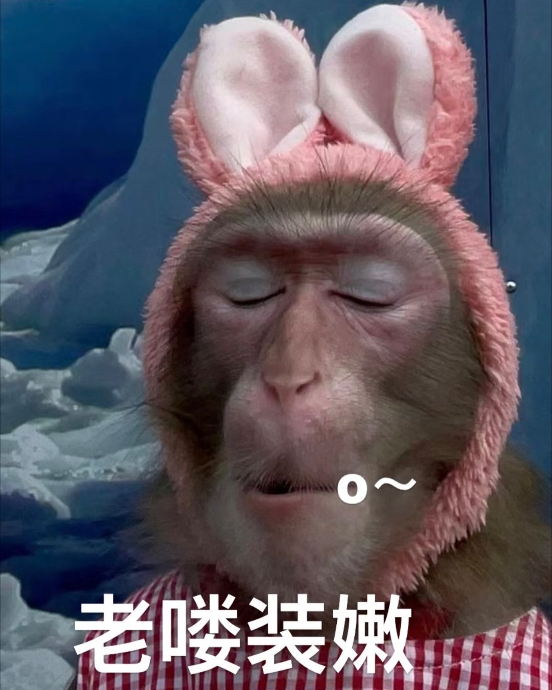 想到一个人…… 