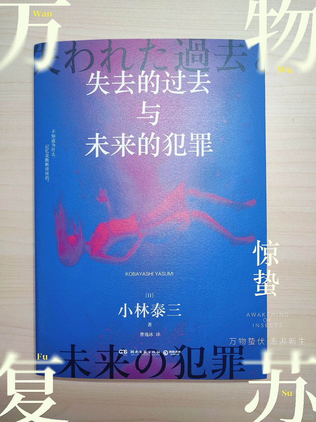 精彩小说‼️失忆时代来临，人类走向何处❓