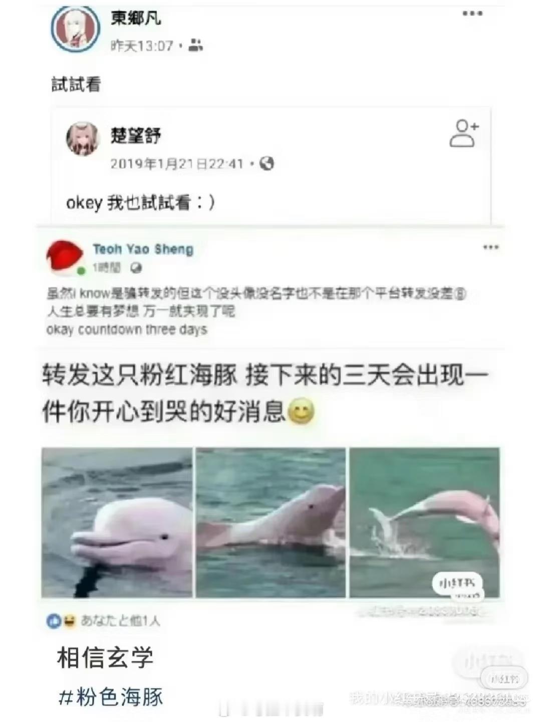 真的吗真的吗 