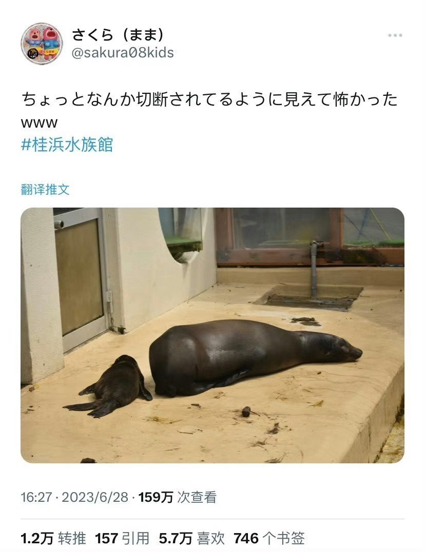 不细看，还以为成两半了[哆啦A梦吃惊] ​​​