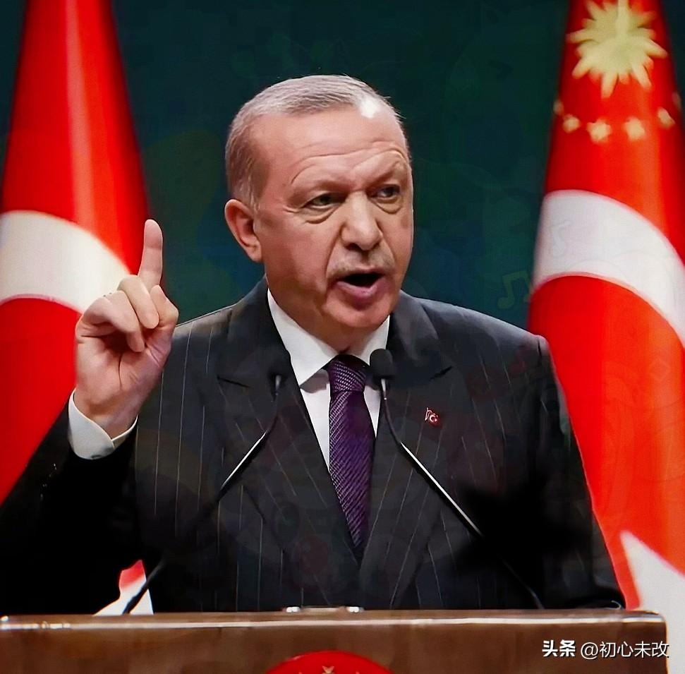 中国和土耳其谈话了
3月25日，土耳其终于等不了了，一通电话打到了中国，土耳其外