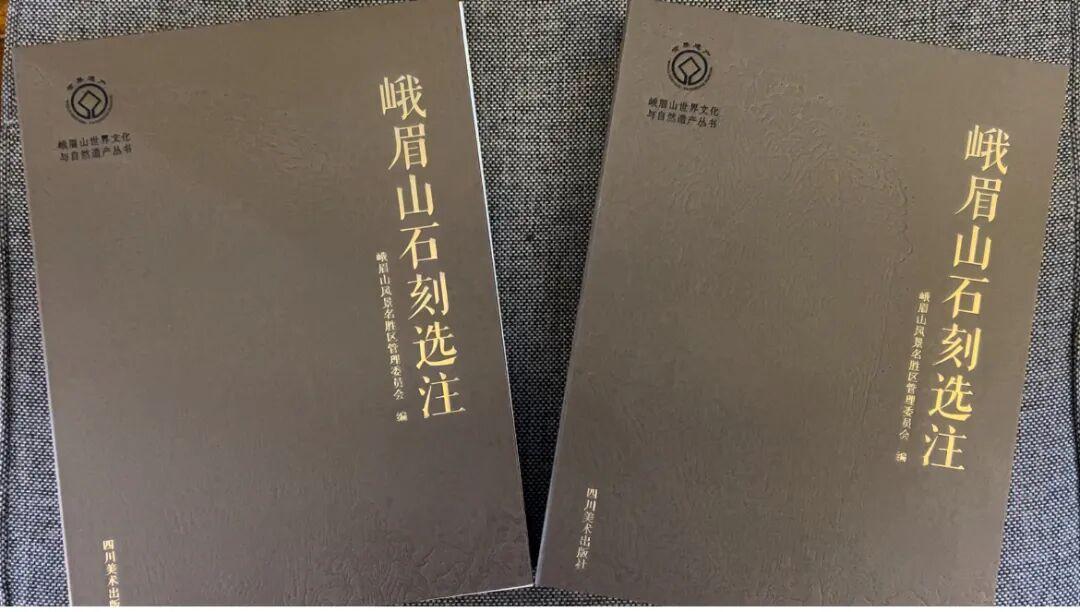 由云南省书法家协会编辑、云南美术出版社出版的《滇云瀚墨笔惊风雨——百年云南书坛名