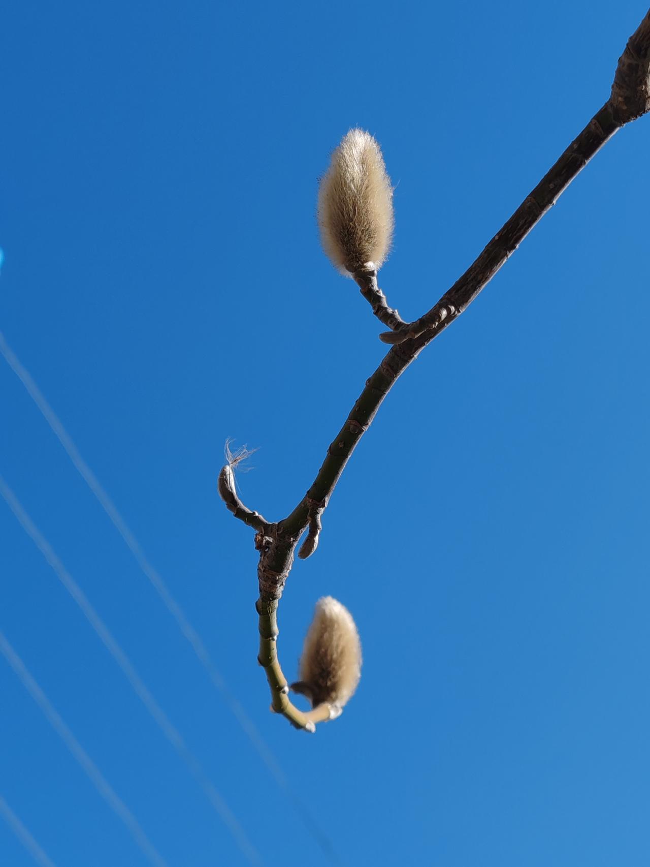 看能看的病，尽能尽的情。不留遗憾，不畏艰难。苦海过后是春天。人生在世，会遭遇诸多