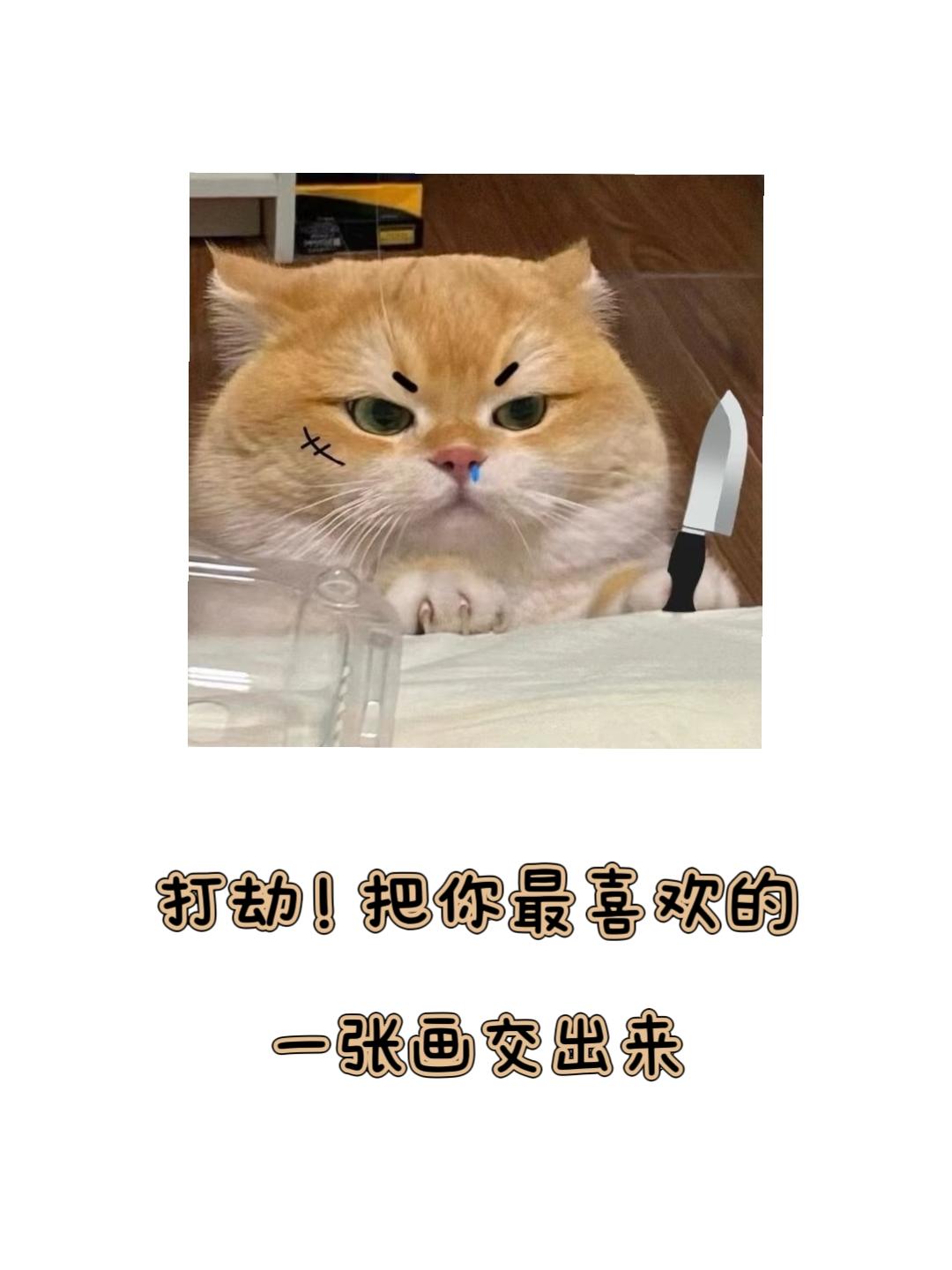 你好可爱，也会好幸福。