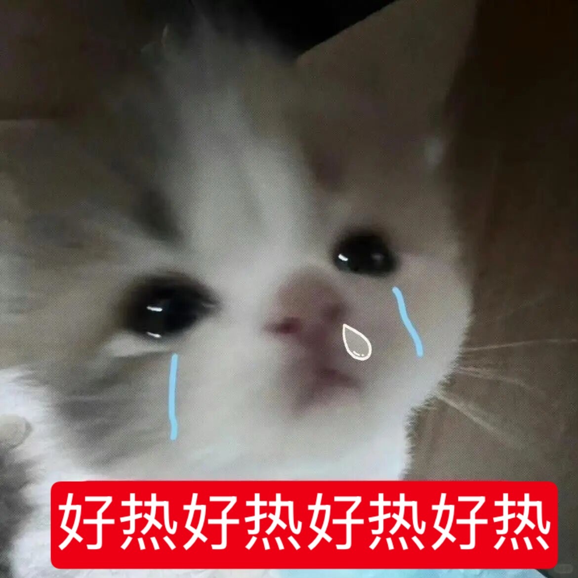 热到自闭，热到绝望，热到没力气😭 ​​​