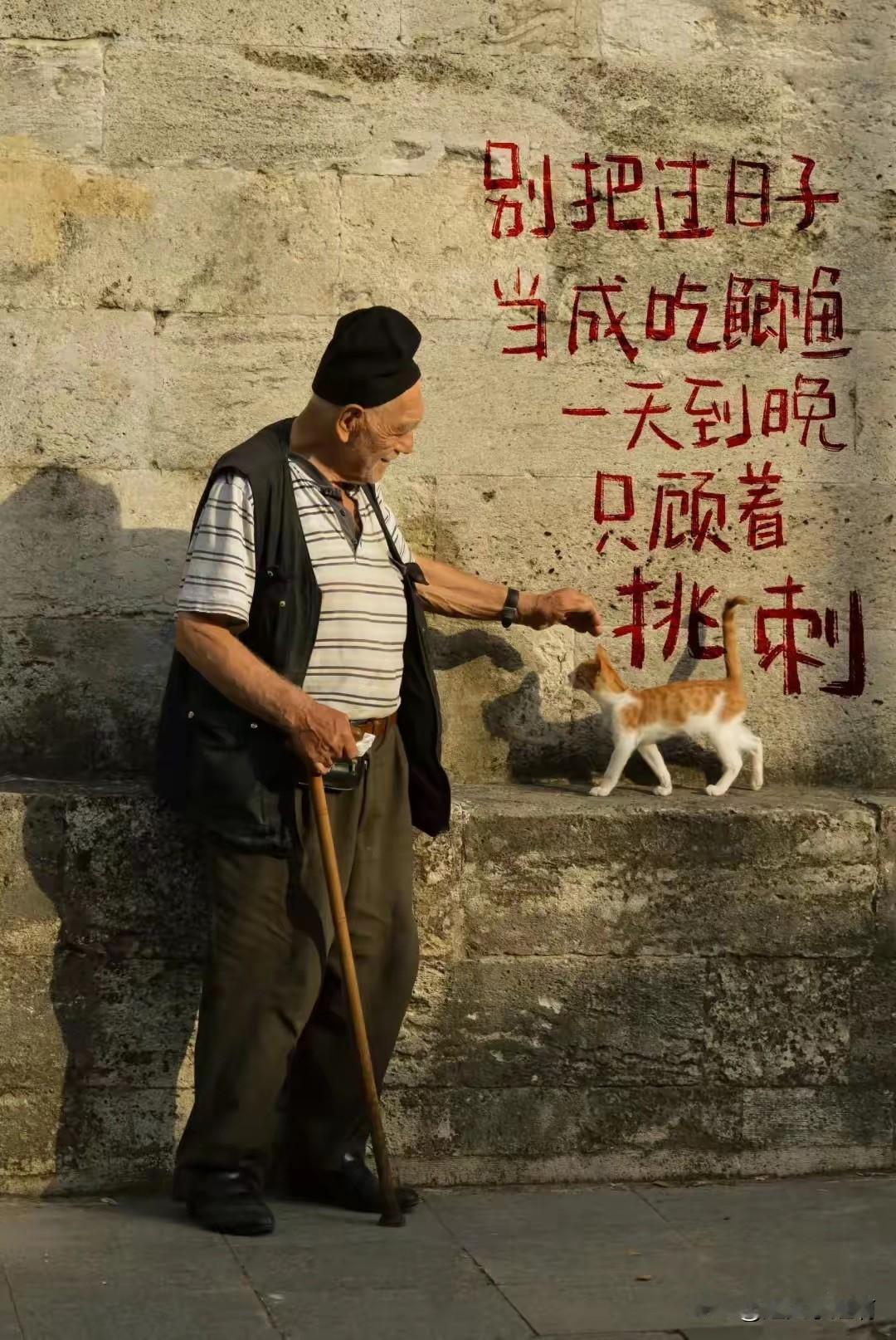 有人说东北人是陆地藤壶，甚至很多人讨厌她们。
说实话我不讨厌，虽然我隔壁邻居那个