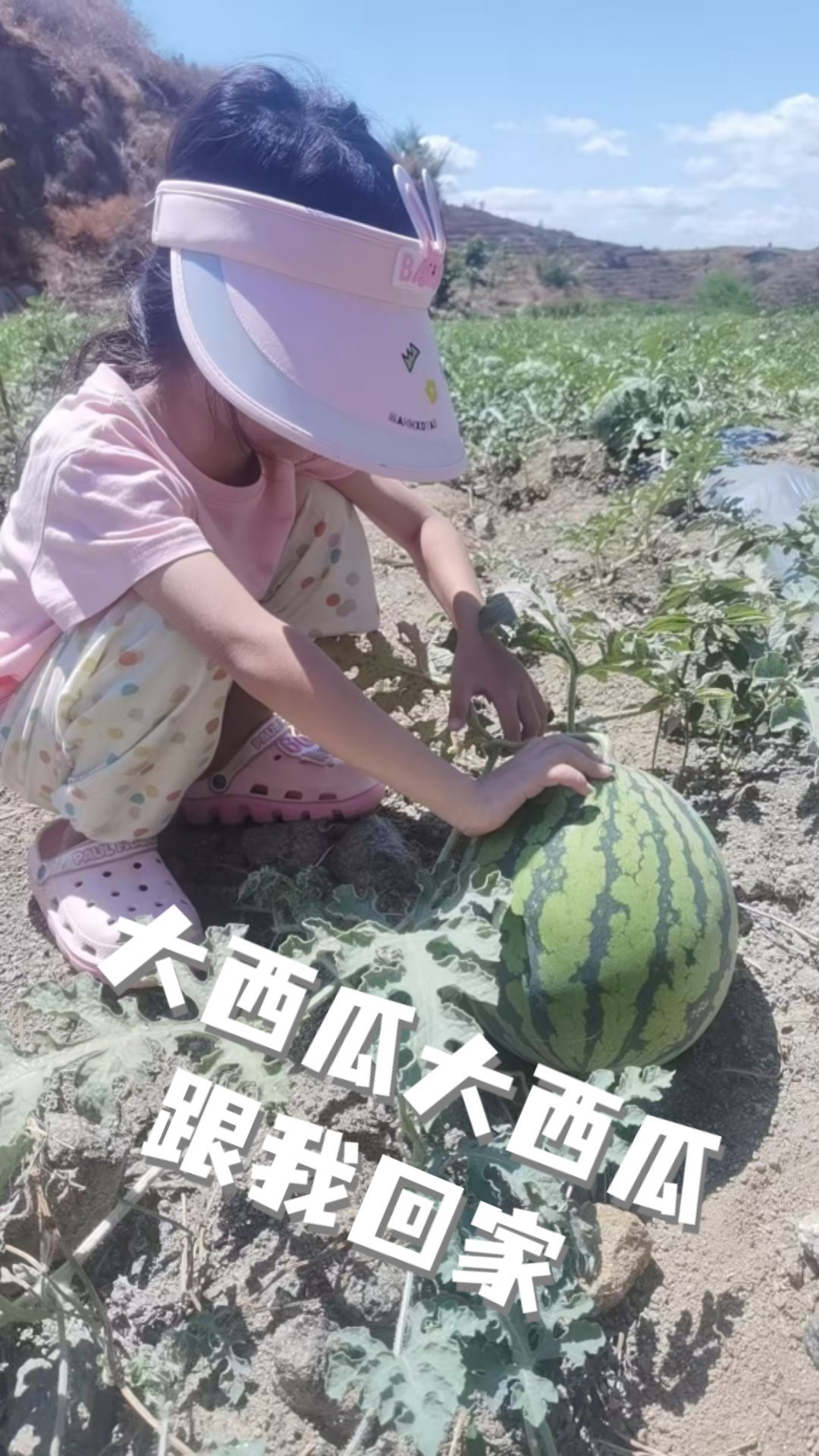 大西瓜大西瓜[爱慕][爱慕][爱慕][爱慕] ​​​