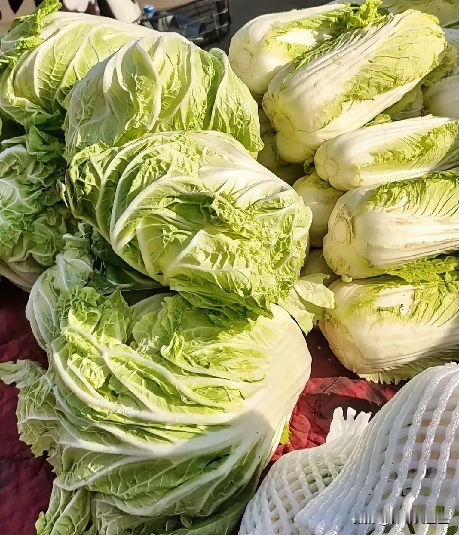 白菜降价了！
果然被我说中了吧！前段时间，大白菜价格是一路攀升，从开始的六七毛钱
