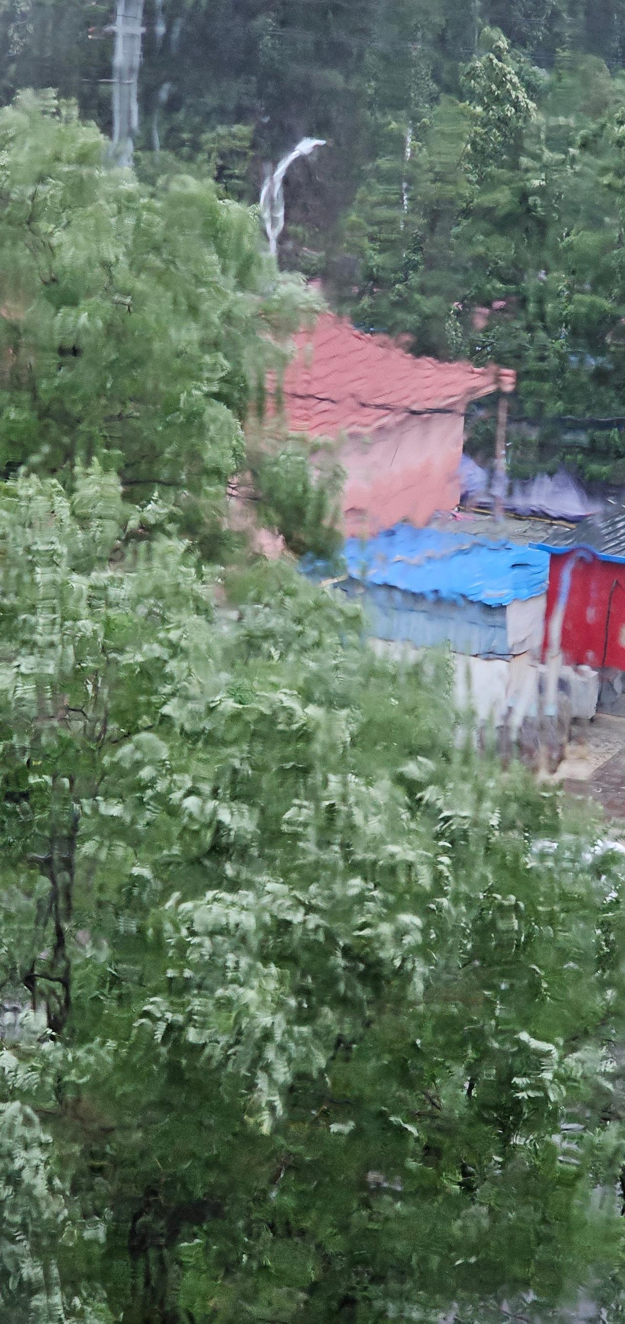下午又是狂风大作，暴雨如注！深圳正在狂风暴雨中深圳突遭狂风暴雨大树拦腰折断深圳下