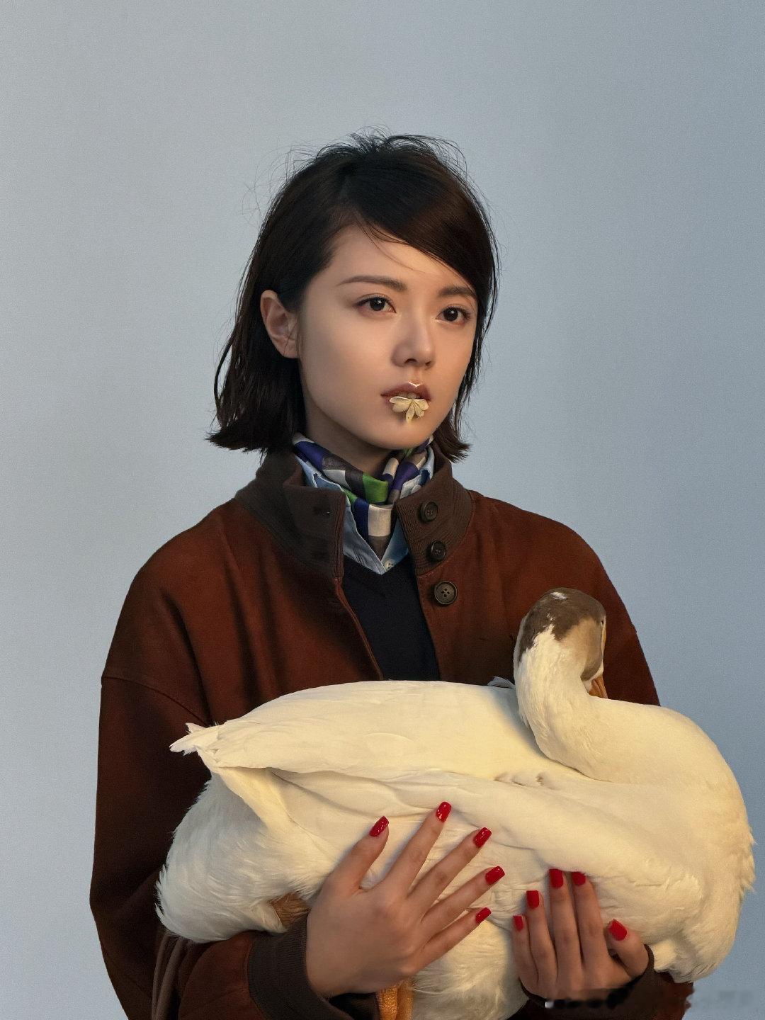 赵今麦live花絮图赵今麦抱大鹅 赵今麦live花絮图，抱大鹅太可爱了~ 