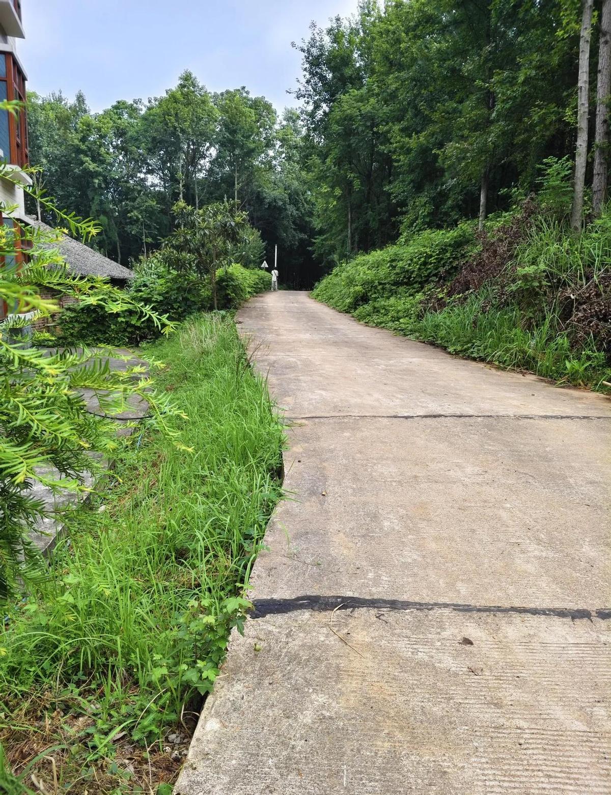 七十岁的娘，每月卖菜赚一百多，硬是攒下二十万。
不图自己享福，就怕娃们日子紧。