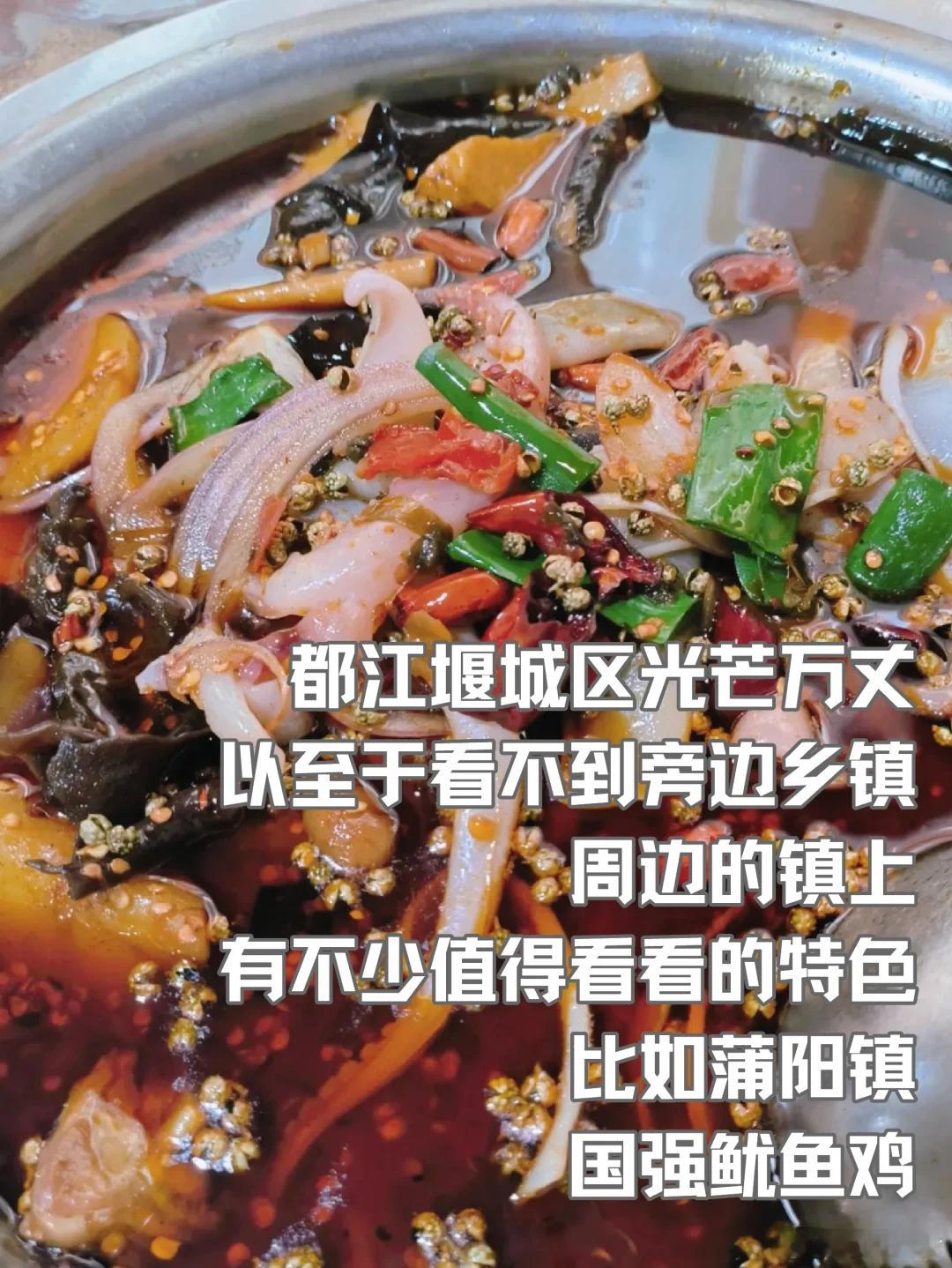 成都美食推荐·都江堰·国强鱿鱼鸡都江堰区光芒万丈，以至于看不到旁边乡镇，周边的镇