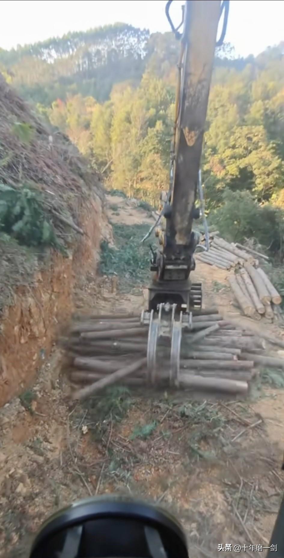 人家用夹木头的挖掘机装木头，操作得丝滑如手，有人不相信，说是AI弄的，真别说还真