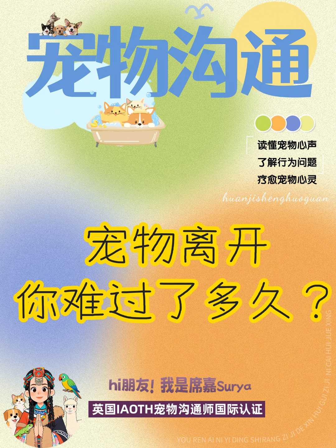 宠物沟通｜了解宠物就等于进一步看到自己