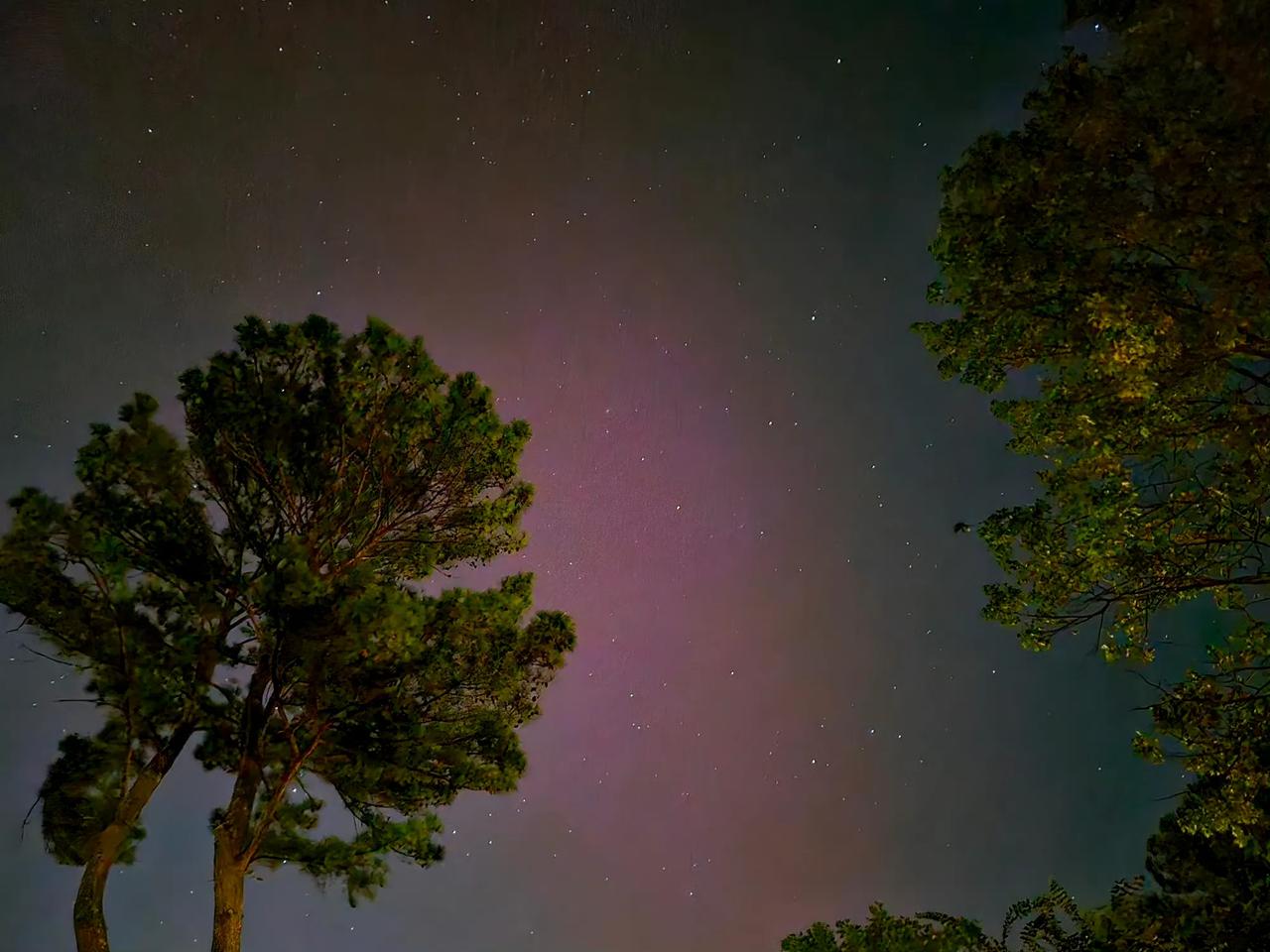 但斌任泽平隔空