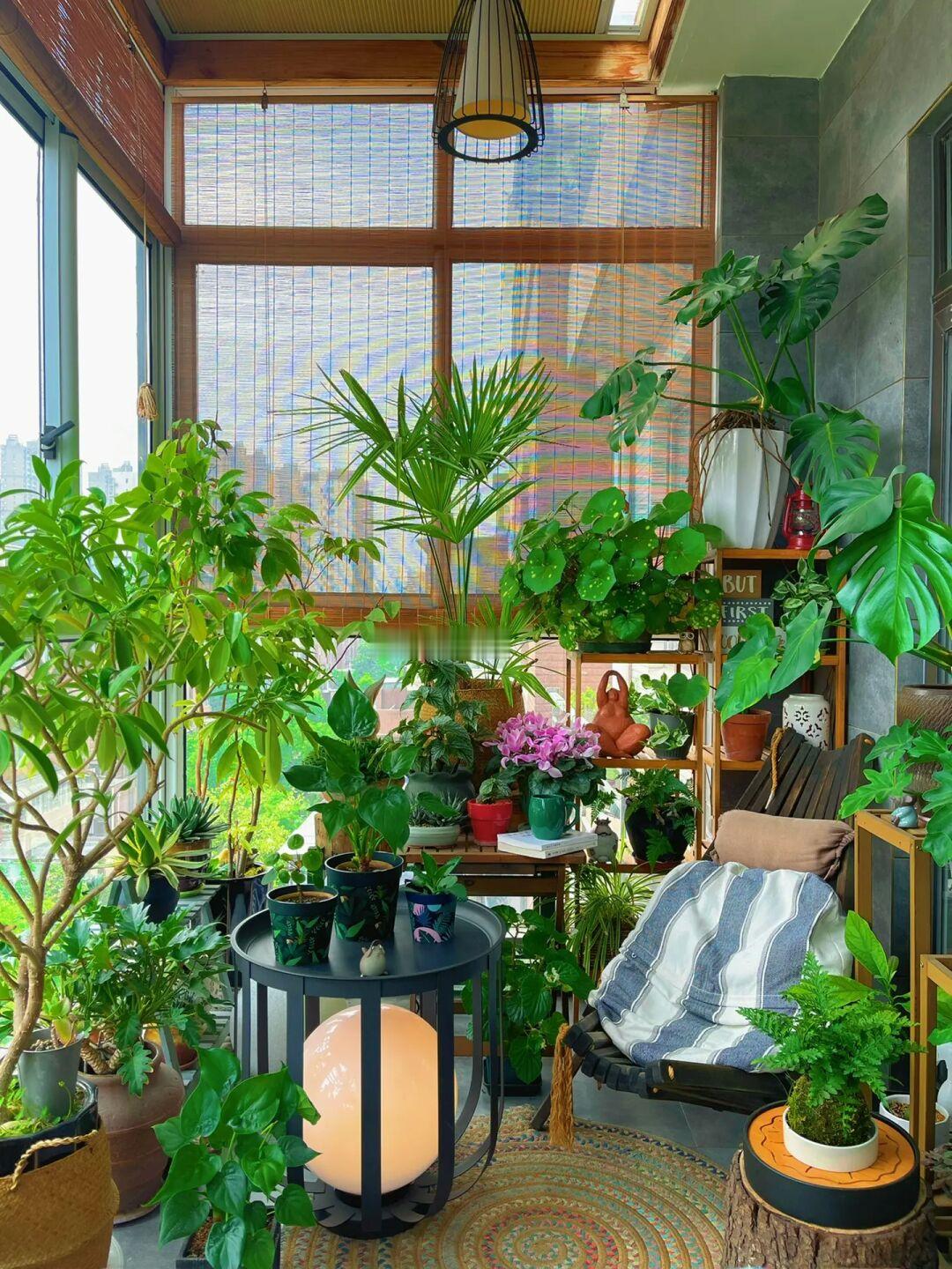 9m²｜阳台虽小，却可以种出一片“小森林”！🌿🌿